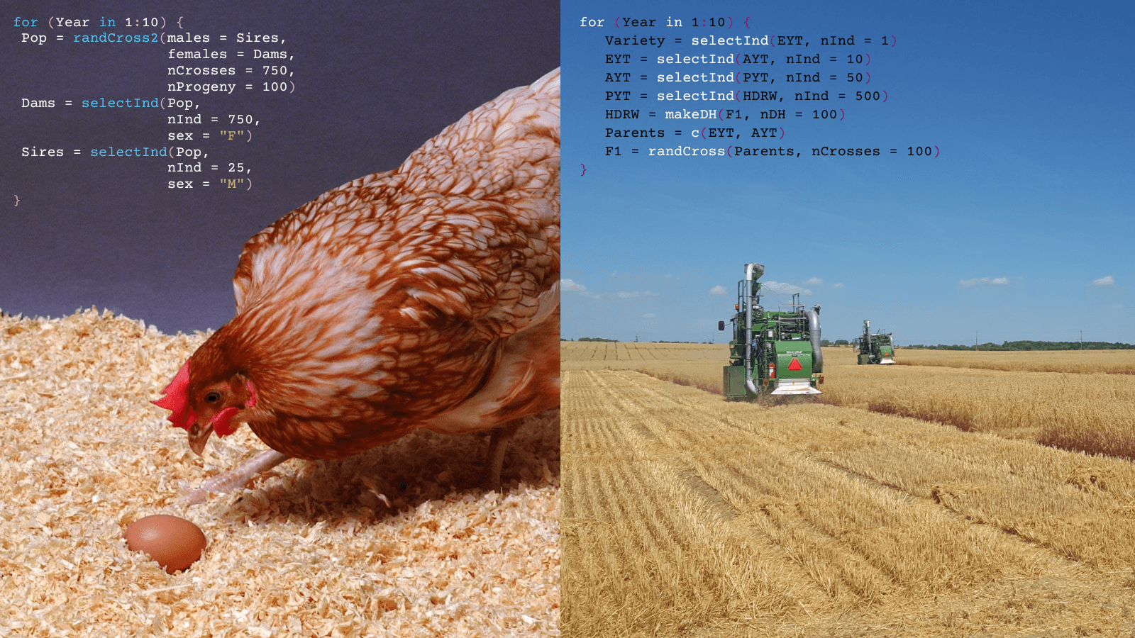 Modelling Breeding Programmes Free Short Course | Short Courses ...